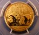China 2013 Panda 100 Y N 1/4 Oz Gold Coin - Pgcs Ms69 - Gold photo 4
