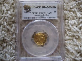 2008 - W Gold American Buffalo Proof $5 1/10oz Ounce Pcgs Pr69 Black Diamond Label photo