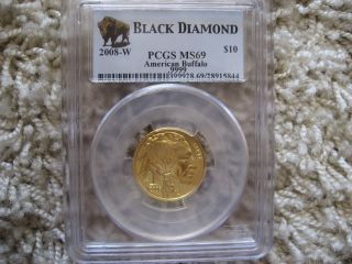 2008 - W Gold American Buffalo Uncirculated $10 1/4oz Ounce Pcgs Ms69 Blackdiamond photo