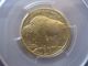 2008 - W Gold American Buffalo Uncirculated $10 1/4oz Ounce Pcgs Ms69 Blackdiamond Gold photo 3