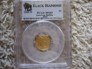 2008 - W Gold American Buffalo Uncirculated $5 1/10oz Ounce Pcgs Ms69 Blackdiamond photo