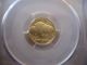 2008 - W Gold American Buffalo Uncirculated $5 1/10oz Ounce Pcgs Ms69 Blackdiamond Gold photo 3