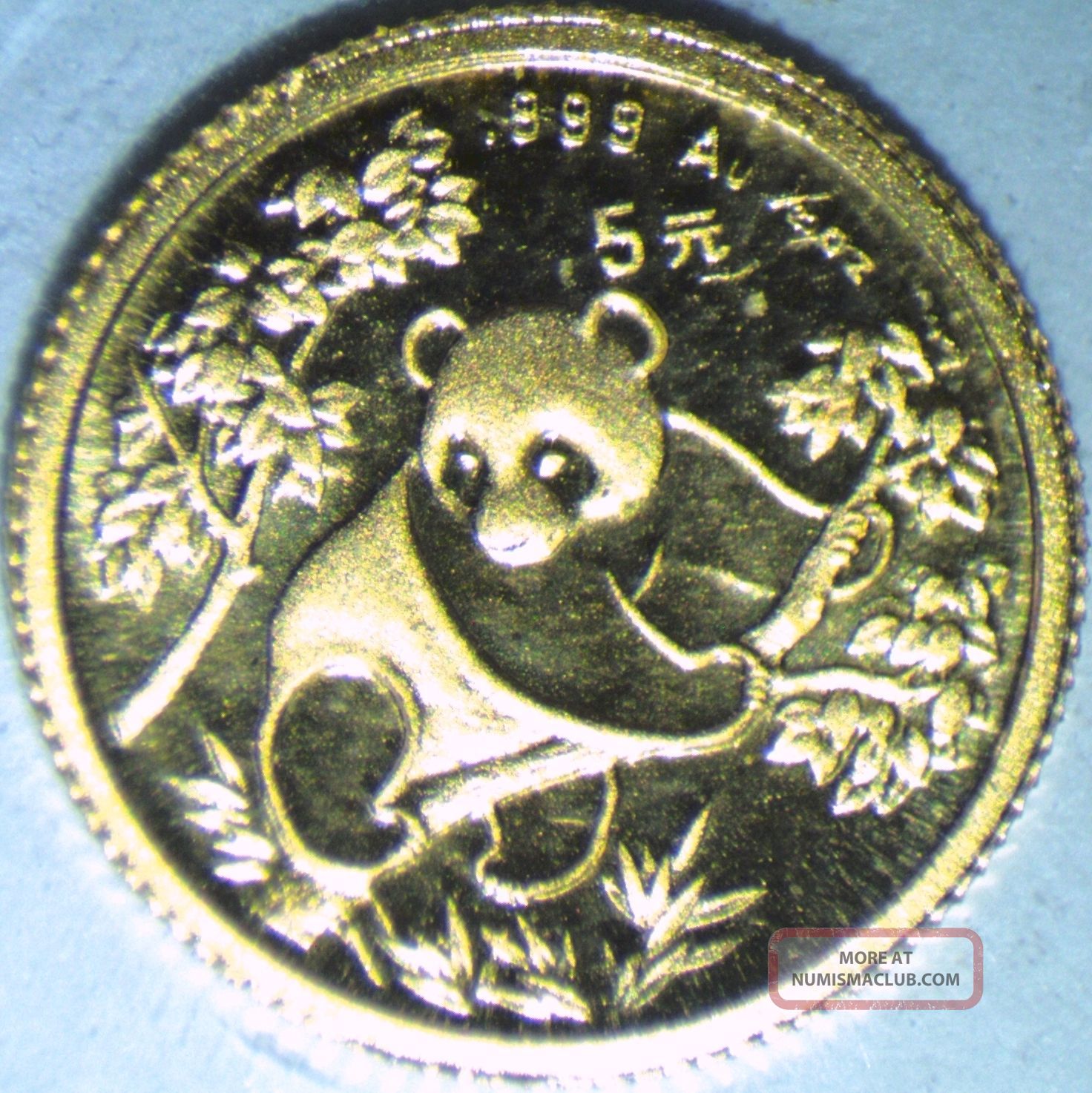 1992 1/20oz Gold Panda.  In Factory Plastic.  Proof China photo