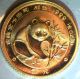 1986 1/20oz Gold Panda.  In Factory Plastic.  Proof China photo 2