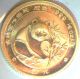 1986 1/20oz Gold Panda.  In Factory Plastic.  Proof China photo 4