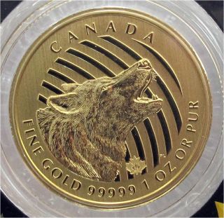 2014 Canada $200 Dollars Gold Coin Howling Woolf 1 Oz.  Pure 99999 photo