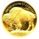 2008 - W American Buffalo $25 Ngc Pr70 Dcam Buffalo.  999 Gold Gold photo 3