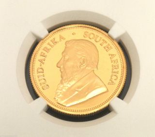 2013 Gold Proof South African Krugerrand 1/2 Oz Very Rare Pf70 Ngc photo