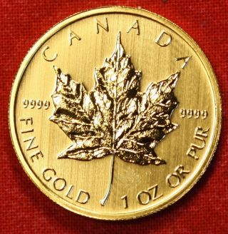 Canadian Gold Maple Leaf 2013 1 Oz.  999% Bu Great Collector Coin Gift photo