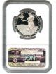 2011 - W Platinum Eagle $100 Ngc Proof 70 Dcam (early Releases) Platinum photo 1
