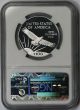 1997 - W Platinum Eagle One - Ounce $100 Pf 69 Ultra Came Ngc 1 Oz Platinum.  9995 Platinum photo 1