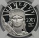 2007 - W Statue Of Liberty Half - Ounce Platinum Eagle $50 Pf 70 Ultra Cameo Ngc Platinum photo 2