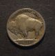 1917 - D Buffalo Nickel Fine Nickels photo 1