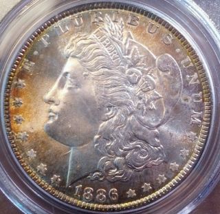 1886 Morgan Dollar Ms - 65 Pcgs,  Golden Toning,  Highly Attractive photo
