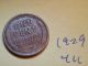 1929 Lincoln Cent Fine Detail Great Coin (411) Wheat Back Penny Small Cents photo 1