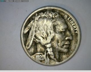 1920 - D Buffalo Nickel (76 - 63) photo
