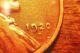 1920 D Lincoln Wheat Cent Withddo Date & Rev.  Double Wheat On Right Side Coins: US photo 2