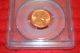 1955 - D Lincoln Cent Wheat Pcgs Ms 65 Red Small Cents photo 2