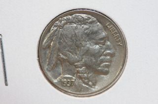 1937 5c Buffalo Nickel - Circulated Coin - Full Horn - Cash Back - Coin Shop 2239 photo