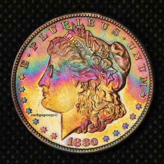 1880 S Morgan Silver Dollar Rainbow Toned Cartwheel Luster Xf+/au photo