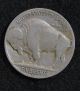 1931 - S Buffalo Nickel; Fine Nickels photo 1