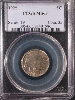 1925 Buffalo Head Nickel Five Cent Pcgs Ms65  21401986 photo