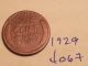 1929 Lincoln Cent Fine Detail Great Coin (4067) Wheat Back Penny Small Cents photo 1