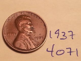 1937 Lincoln Cent Fine Detail Great Coin (4071) Wheat Back Penny photo