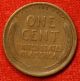 1909 - P Lincoln Wheat Cent Penny Vf Collector Coin Check Out Store Lw989 Small Cents photo 1