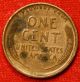 1909 - Vdb Lincoln Wheat Cent Penny Xf Collector Coin Check Out Store Lw1003 Small Cents photo 1