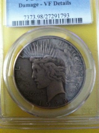 1928 Silver Peace Dollar - Pcgs - Damage - Vf Details photo