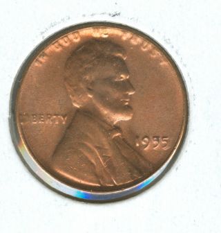 1955 Cent With Some Doubling Indate And Elsewhere photo