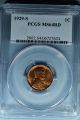 1929 - S Lincoln Wheat Cent Pcgs Ms64rd - Sharp,  Bright Red Small Cents photo 2