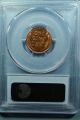 1929 - S Lincoln Wheat Cent Pcgs Ms64rd - Sharp,  Bright Red Small Cents photo 3