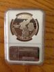 1991 - P Korean War Commemorative Silver Dollar - Pf - 69 Ucam Ngc Looks Flawless Small Cents photo 4
