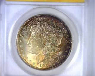 Ms65 Anacs Beautifully Toned 1921 Vam 3 Morgan Silver Dollar U.  S.  Coin 1921 photo