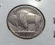 1919 - S Buffalo Nickel,  F Nickels photo 2