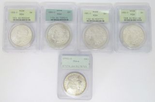 5 Morgan Dollars From Orleans Pcgs Ms64 photo