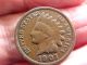 Antique Collector Coin 1901 Date Indian Head Small Cent Copper Penny Small Cents photo 1