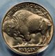 1938 D/d Buffalo Nickel Pcgs Ms65 - Popular Re - Punched Mark Variety Nickels photo 2
