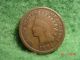 1894 Indian Head Cent,  Good+ Small Cents photo 4
