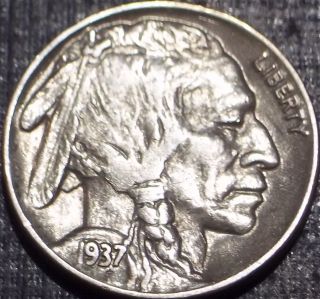 Rare 1937 - P Buffalo Nickel Full Date + Full Horn Quality Coin 45 photo