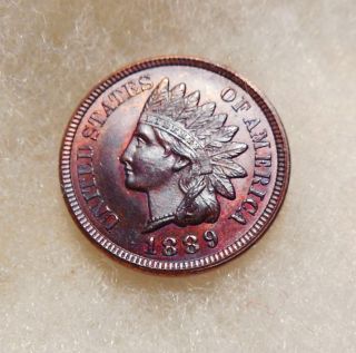 1889 Indian Cent - Better Date - Very Pretty B.  U.  Brown Coin photo