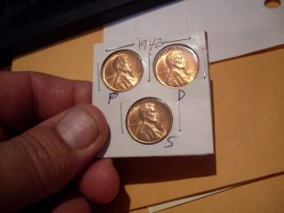 1942 P - D - S Lincoln Cents State Red +++++ photo