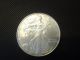 2005 American Eagle 1 Troy Ounce.  999 Fine Silver Dollar Coins: US photo 2