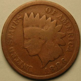 1886 Indian Head Cent,  Type 2,  Ac 911 photo