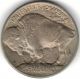 Tmm 1913 T1 Buffalo Nickel Uncertified Coin Ef/au Nickels photo 1