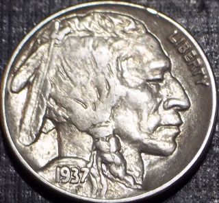 Rare 1937 - P Buffalo Nickel Full Date + Full Horn Quality Coin 49 photo