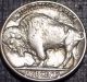 Rare 1937 - P Buffalo Nickel Full Date + Full Horn Quality Coin 49 Nickels photo 1