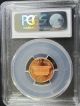 2004 S Proof Lincoln Cent - Pcgs Pr70 Rd Dcam (587) Small Cents photo 1